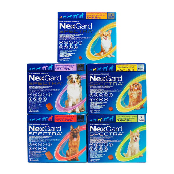 Nexgard Spectra