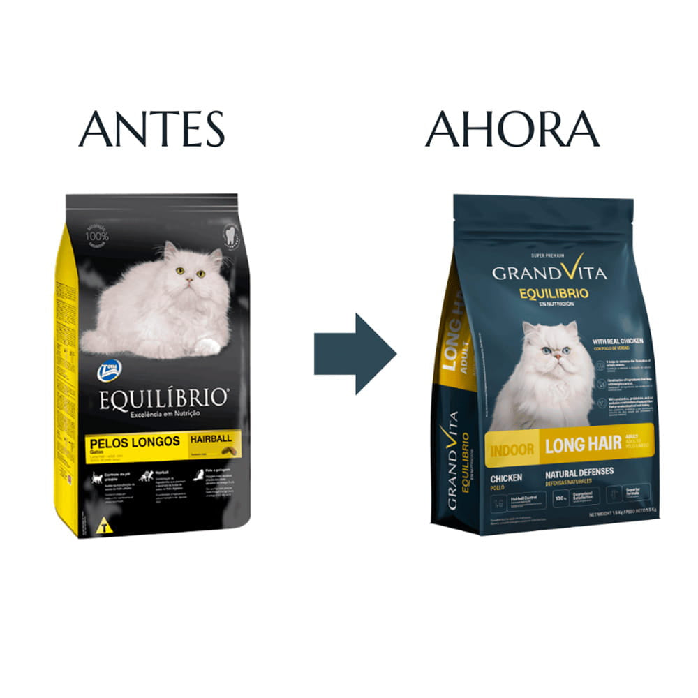 Equilibrio Gatos Pelos Longos