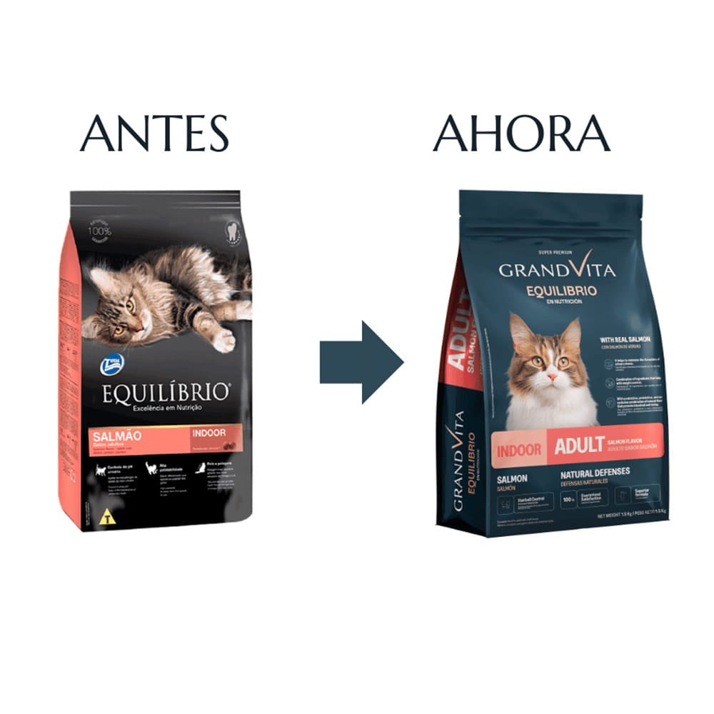 Equilibrio Gatos Salmón