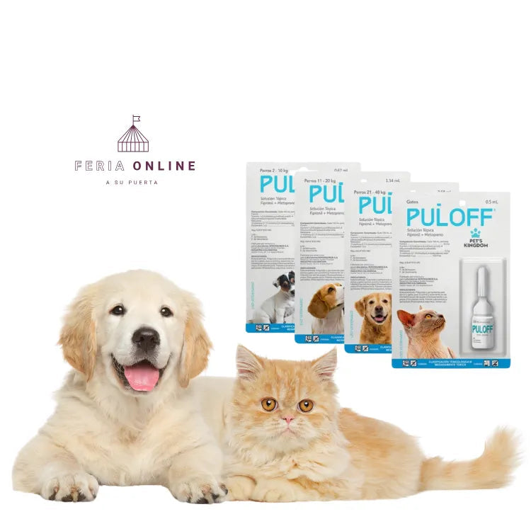 PULOFF Perro y Gato