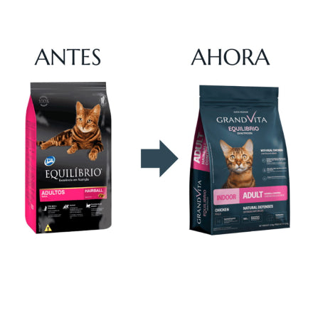 Equilibrio Gato Adulto