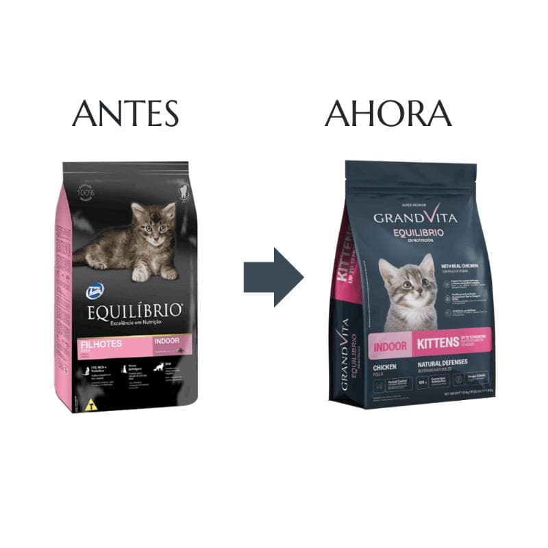 Equilibrio Gatitos